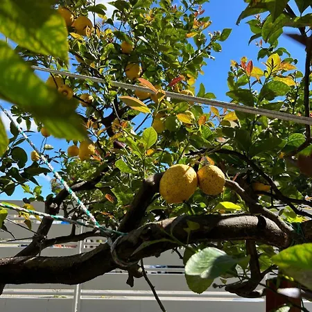 La Ginestra